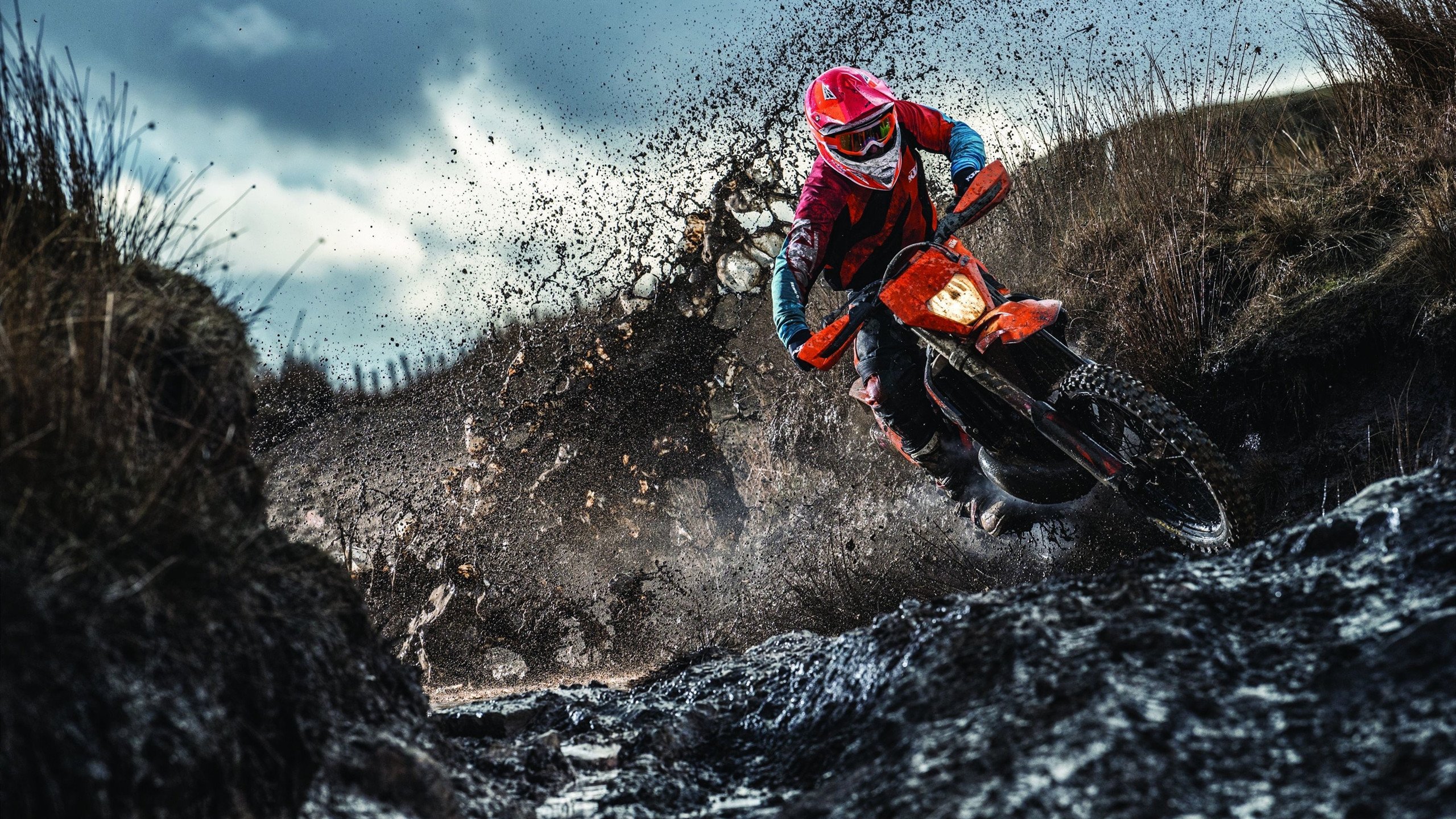 特色青训“生态圈”在全国多地逐步筑牢，行业格局进一步优化