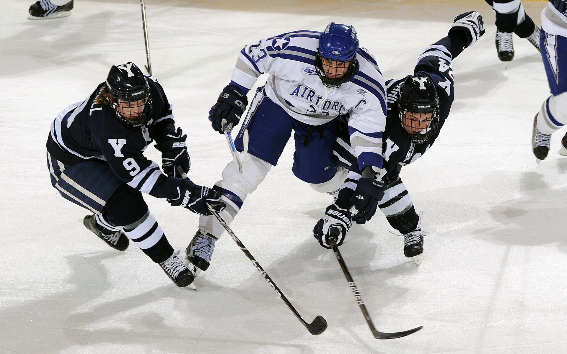 美洲球队策划慈善晚宴，助力社会公益事业，美洲球队特点