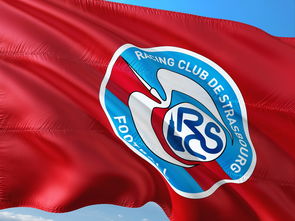 开云体育在线-荷兰队在欧洲预赛中继续保持领先优势